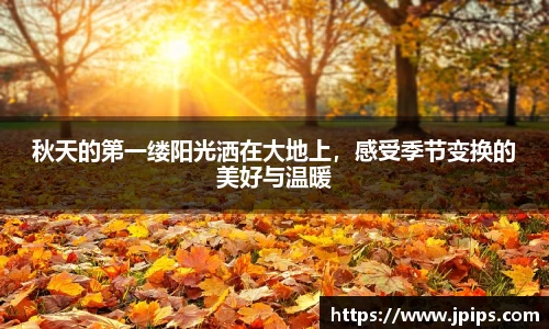 JBO官网app